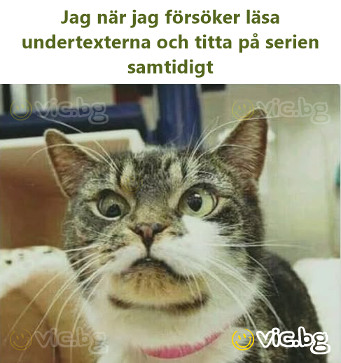 Jag när jag försöker läsa undertexterna och titta på serien samtidigt
