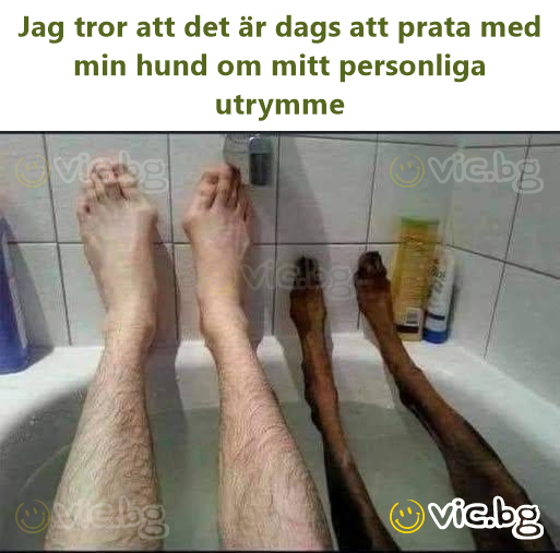Jag tror att det är dags att prata med min hund om mitt personliga utrymme