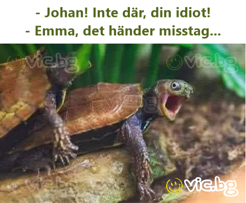 - Johan! Inte där, din idiot! - Emma, det händer misstag...
