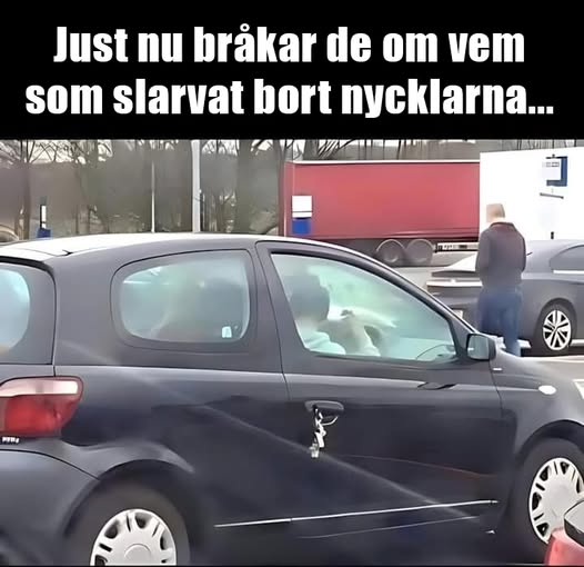 Just nu bräkar de om vem som Slarvat bort nycklarna...