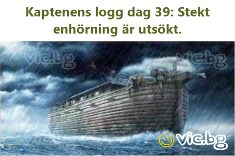 Kaptenens logg dag 39: Stekt enhörning är utsökt.