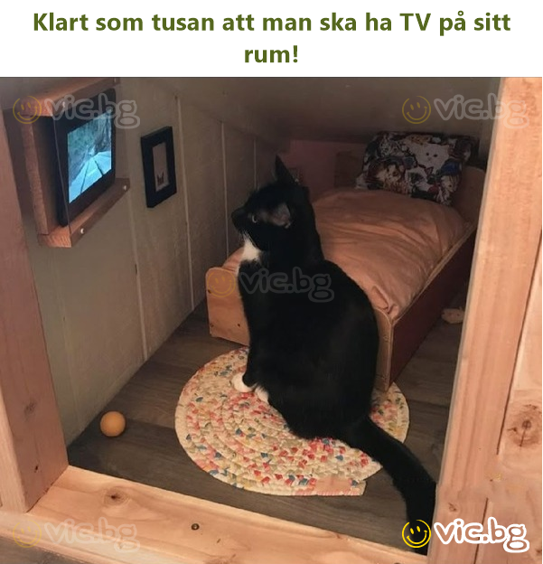 Klart som tusan att man ska ha TV på sitt ruм!