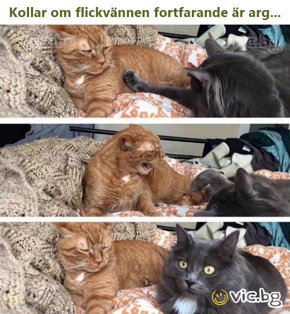 Kollar om flickvännen fortfarande är arg...