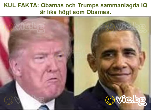 KUL FAKTA: Obamas och Trumps sammanlagda IQ är lika högt som Obamas.