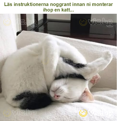 Läs instruktionerna noggrant innan ni monterar ihop en katt...