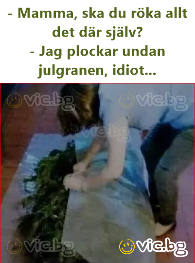 - Mamma, ska du röka allt det där själv?  - Jag plockar undan julgranen, idiot...