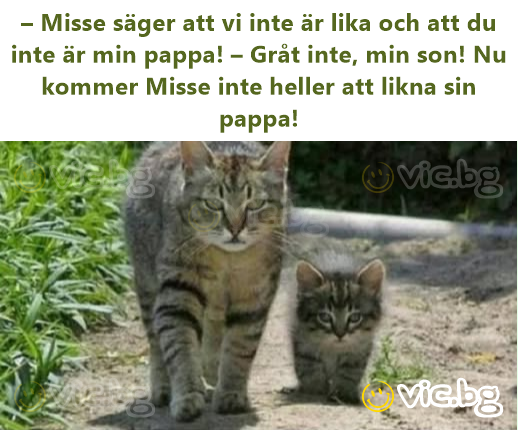 – Misse säger att vi inte är lika och att du inte är min pappa! – Gråt inte, min son! Nu kommer Misse inte heller att likna sin pappa!