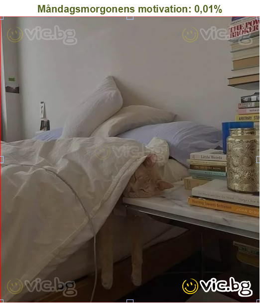 Måndagsmorgonens motivation: 0,01%