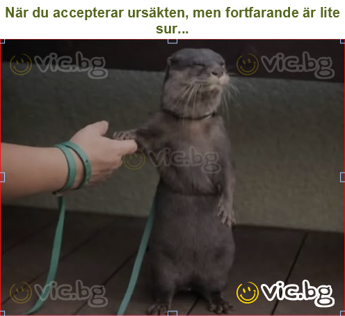 När du accepterar ursäkten, men fortfarande är lite sur...