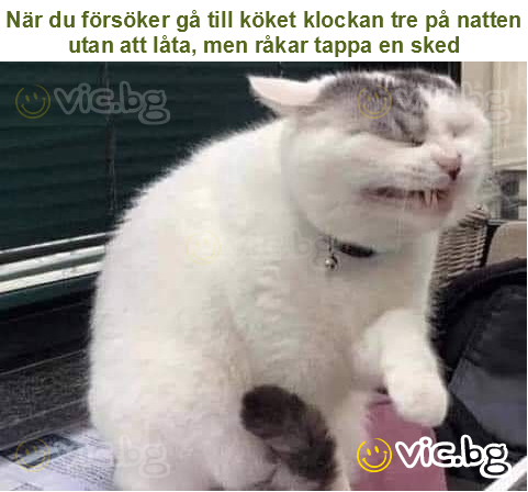 När du försöker gå till köket klockan tre på natten utan att låta, men råkar tappa en sked