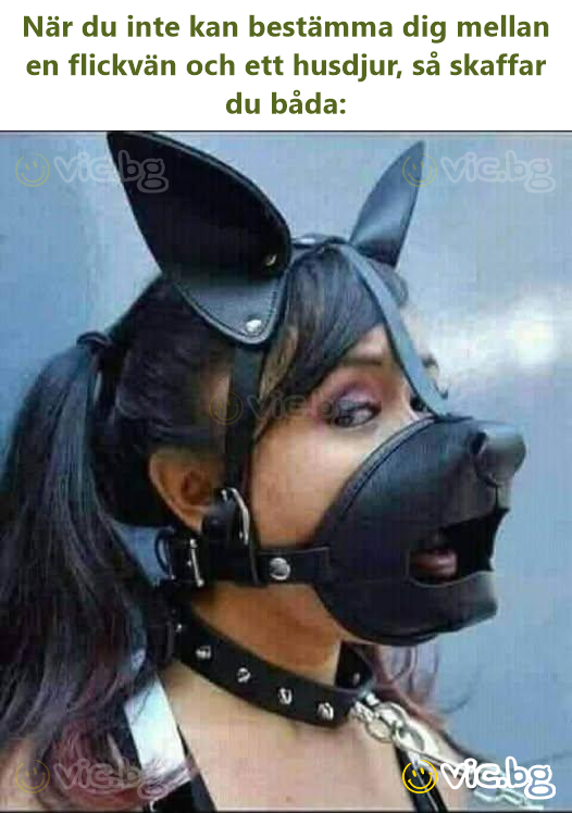 När du inte kan bestämma dig mellan en flickvän och ett husdjur, så skaffar du båda: