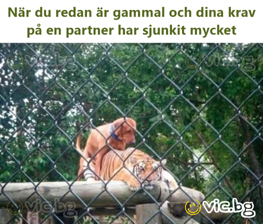 När du redan är gammal och dina krav på en partner har sjunkit mycket