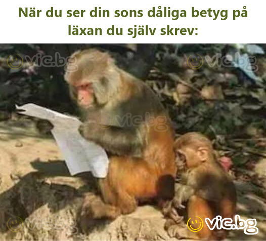 När du ser din sons dåliga betyg på läxan du själv skrev: