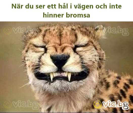 När du ser ett hål i vägen och inte hinner bromsa