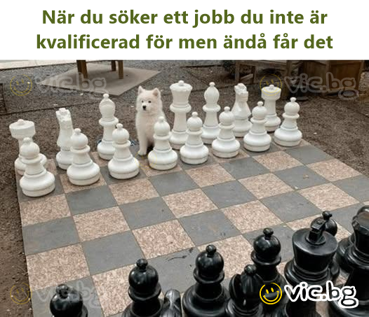 När du söker ett jobb du inte är kvalificerad för men ändå får det