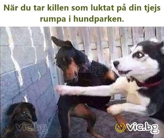 När du tar killen som luktat på din tjejs rumpa i hundparken.