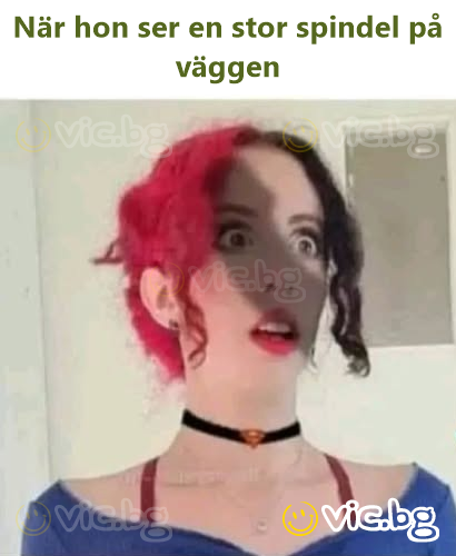 När hon ser en stor spindel på väggen