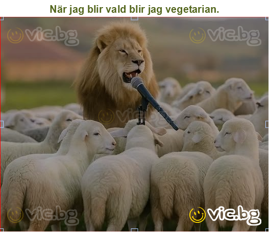 När jag blir vald blir jag vegetarian.