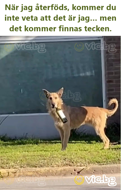 När jag återföds, kommer du inte veta att det är jag… men det kommer finnas tecken.