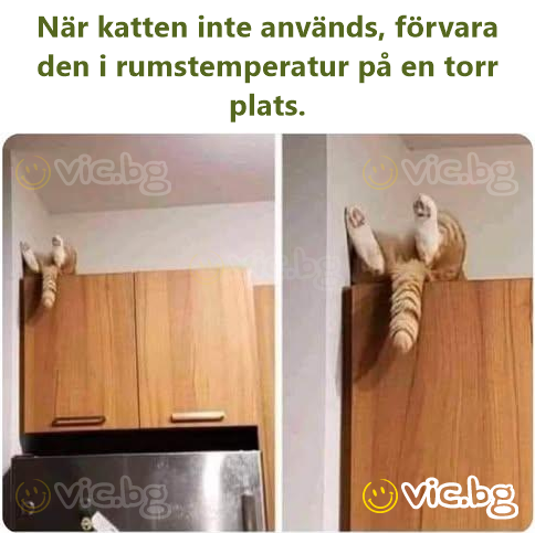 När katten inte används, förvara den i rumstemperatur på en torr plats.