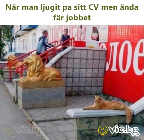 När man ljugit pa sitt CV men ända fär jobbet