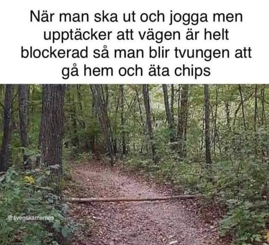 När man ska ut och jogga men upptäcker att vägen är helt blockerad så man blir tvungen att gå hem och äta сhiрs övenskarermas.