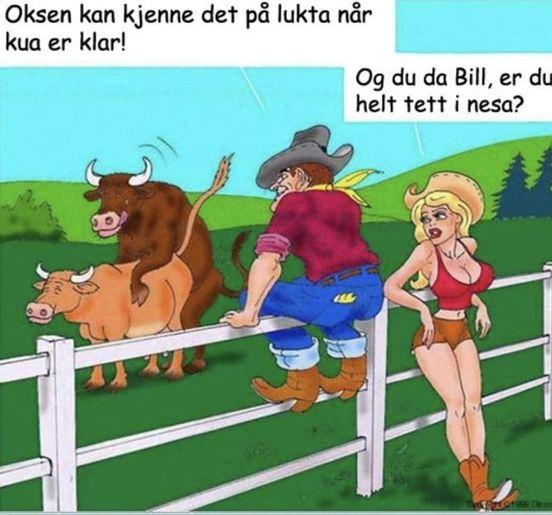 Någon som vet vad det här vägmärket betyder?