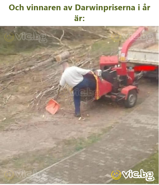 Och vinnaren av Darwinpriserna i år är: