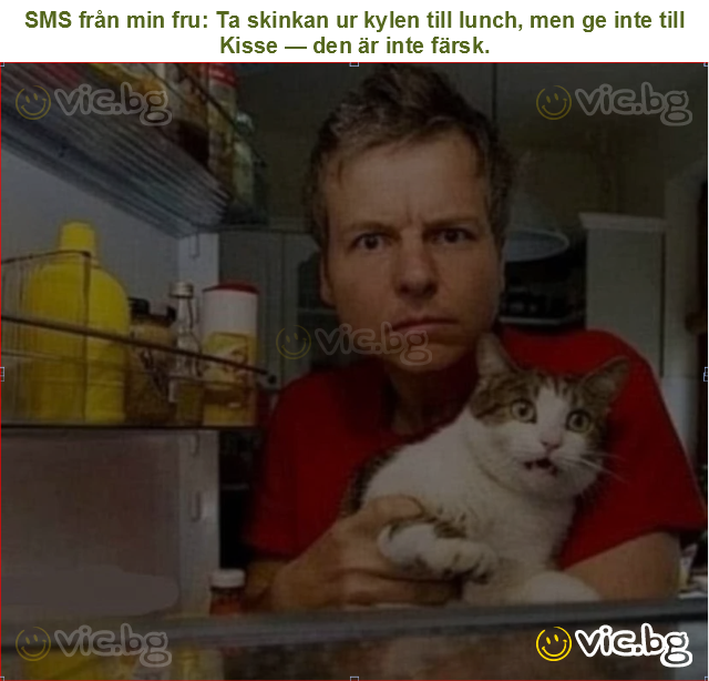 SMS från min fru: Ta skinkan ur kylen till lunch, men ge inte till Kisse — den är inte färsk.