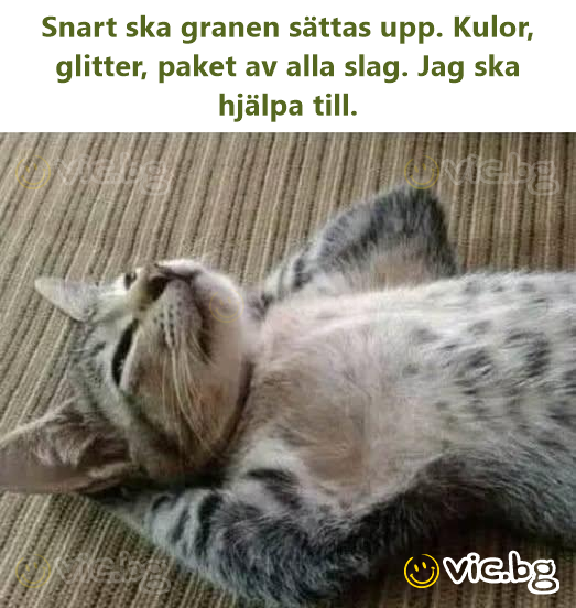 Snart ska granen sättas upp. Kulor, glitter, paket av alla slag. Jag ska hjälpa till.