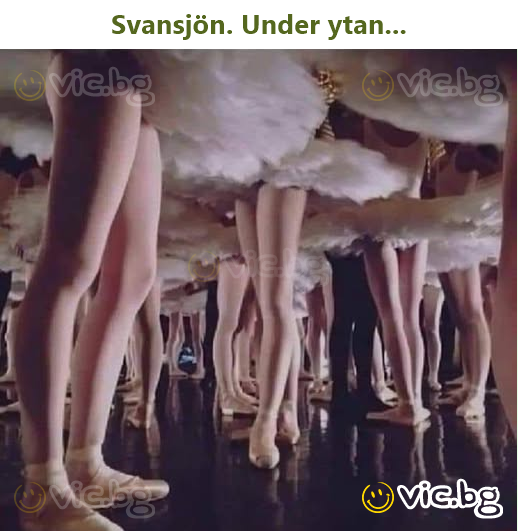 Svansjön. Under ytan...