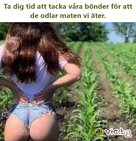 Ta dig tid att tacka våra bönder för att de odlar maten vi äter.