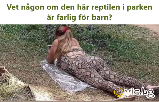 Vet någon om den här reptilen i parken är farlig för barn?