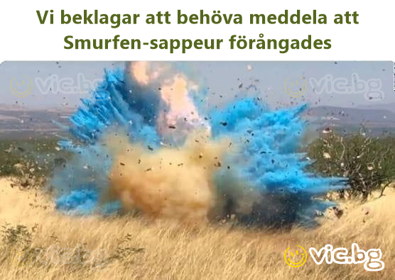 Vi beklagar att behöva meddela att Smurfen-sappeur förångades