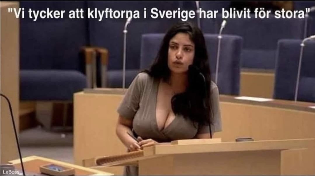 "Vi tycker att klyftorna i Sverige har blivit för stora"