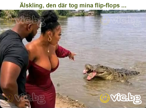 Älskling, den där tog mina flip-flops ...