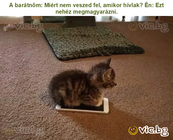 A barátnőm: Miért nem veszed fel, amikor hívlak? Én: Ezt nehéz megmagyarázni.