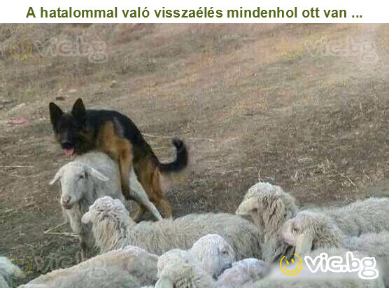 A hatalommal való visszaélés mindenhol ott van ...