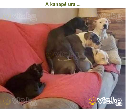 A kanapé ura ...