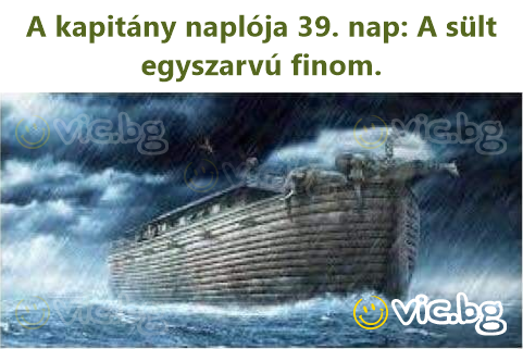 A kapitány naplója 39. nap: A sült egyszarvú finom.