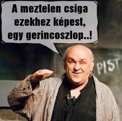 A meztelen csiga ezekhez képest, egy gerincosziop..!