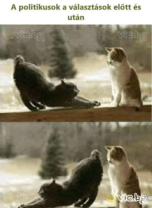 A politikusok a választások előtt és után
