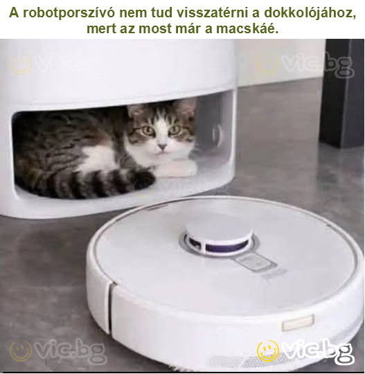 A robotporszívó nem tud visszatérni a dokkolójához, mert az most már a macskáé.