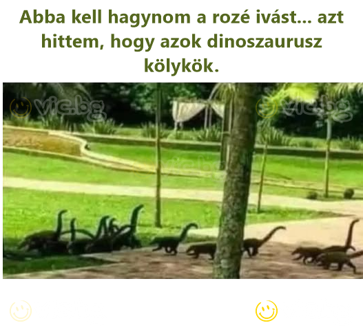 Abba kell hagynom a rozé ivást... azt hittem, hogy azok dinoszaurusz kölykök.