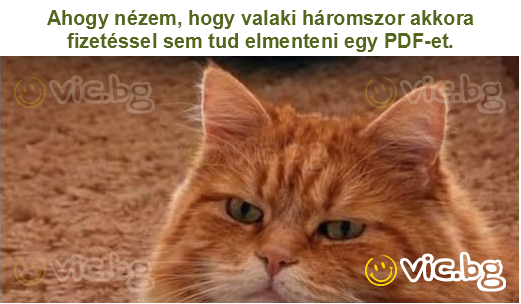 Ahogy nézem, hogy valaki háromszor akkora fizetéssel sem tud elmenteni egy PDF-et.