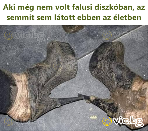 Aki még nem volt falusi diszkóban, az semmit sem látott ebben az életben