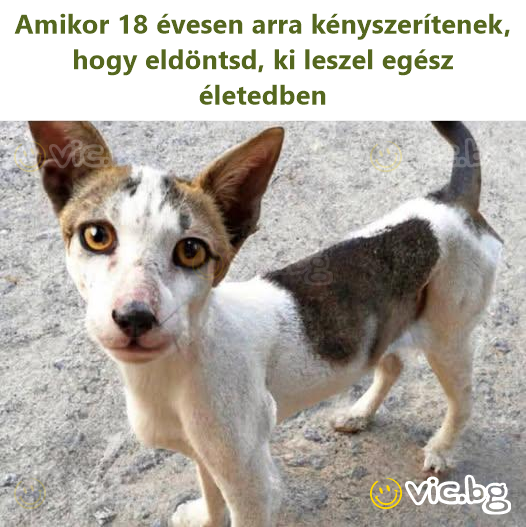 Amikor 18 évesen arra kényszerítenek, hogy eldöntsd, ki leszel egész életedben