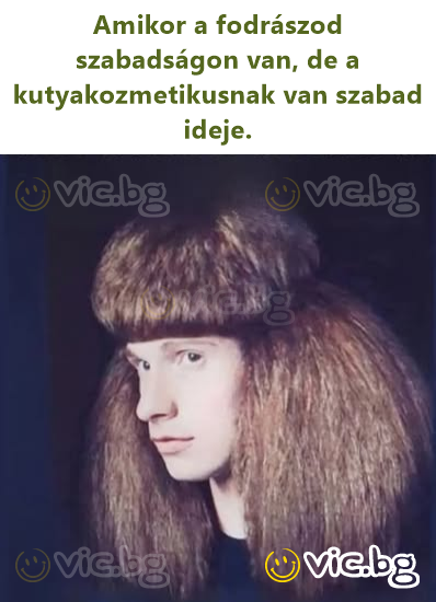 Amikor a fodrászod szabadságon van, de a kutyakozmetikusnak van szabad ideje.