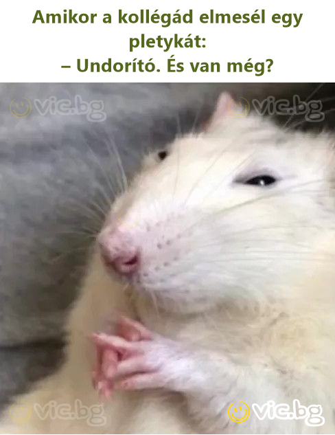 Amikor a kollégád elmesél egy pletykát: – Undorító. És van még?