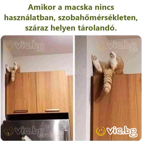 Amikor a macska nincs használatban, szobahőmérsékleten, száraz helyen tárolandó.